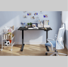 Electric Standing Desk Dual Motor Adjustable Height Desk Home Office Computer Workstation Sit Stand Up Desk,48 X 24 Inches